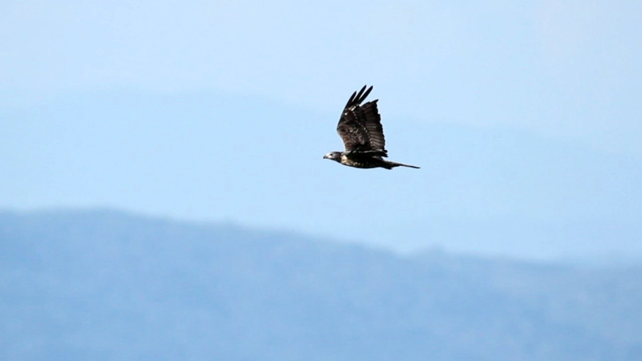 พลังเหยี่ยว พลังแห่งการเดินทาง, โคก-หนอง-นา พระราชาโมเดล, วานรนิวาสบ่ขาดเขิน