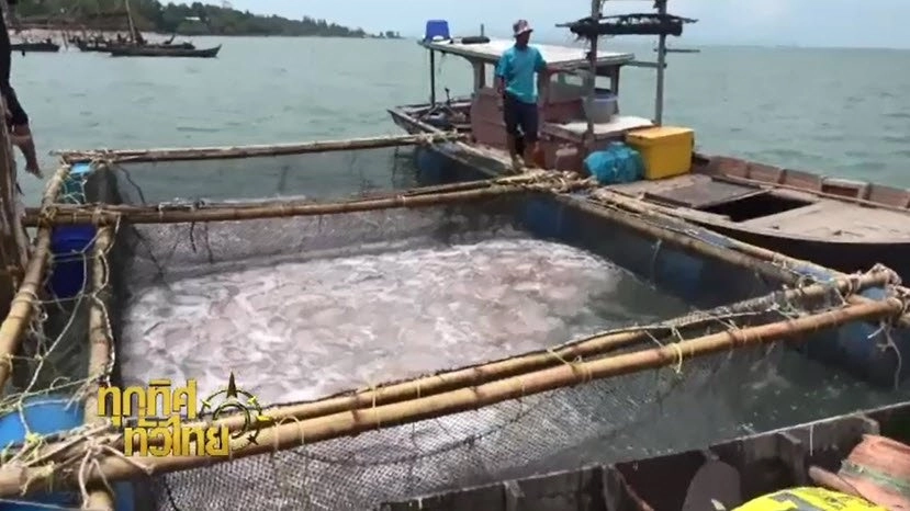 ประเด็นข่าว (31 มี.ค. 60)