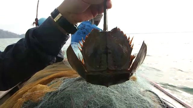 บ่ายโมง ตรงประเด็น