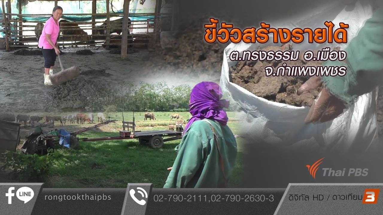 ขี้วัวสร้างรายได้ ต.ทรงธรรม อ.เมือง จ.กำแพงเพชร