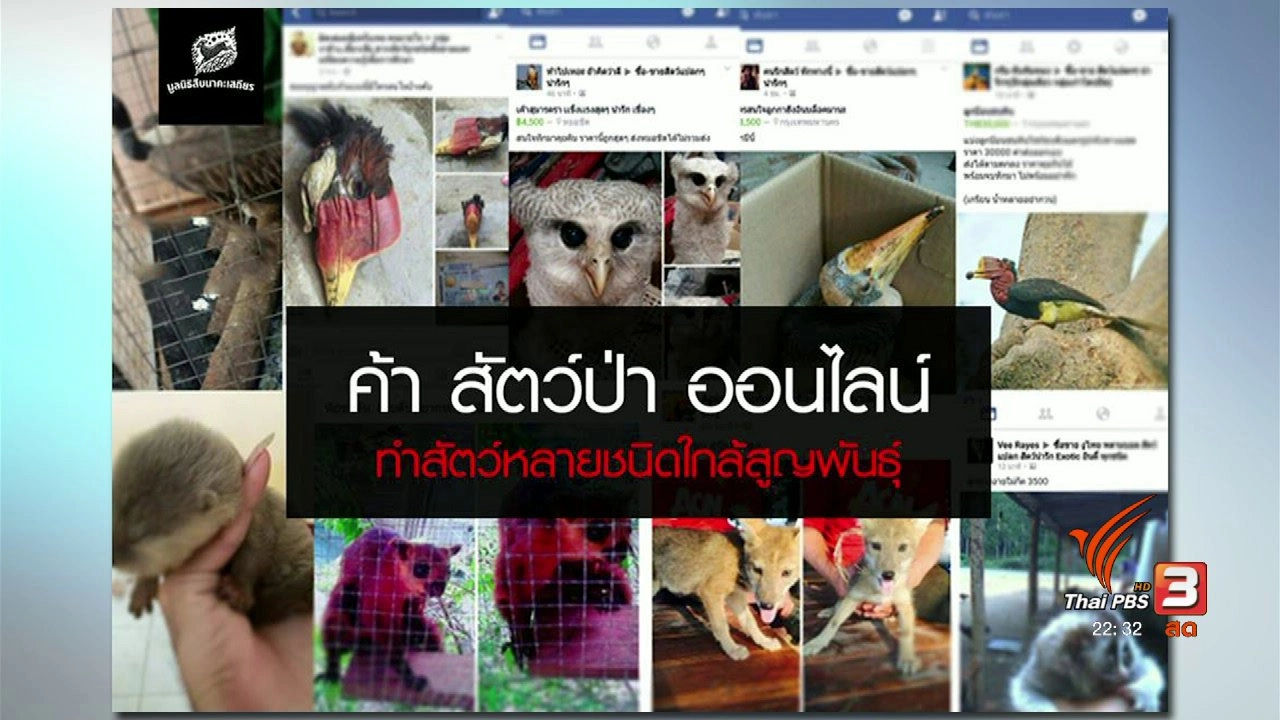 ซื้อขายสัตว์ป่าออนไลน์