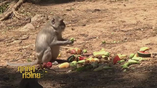 ประเด็นข่าว (7 เม.ย. 60)