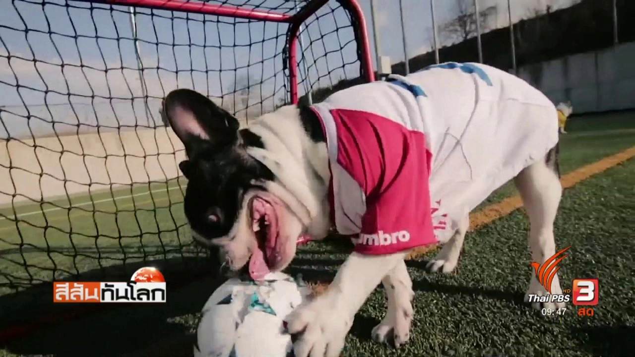 ประเด็นข่าว (8 เม.ย. 60)