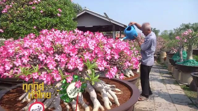 ประเด็นข่าว (10 เม.ย. 60)