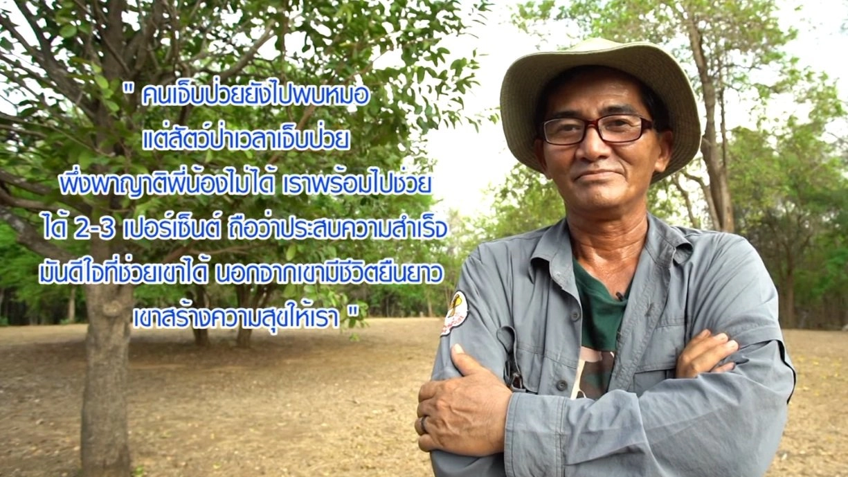 อาหมู / แหนมเห็ด