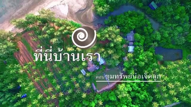 ​ขุมทรัพย์บ่อเจ็ดลูก