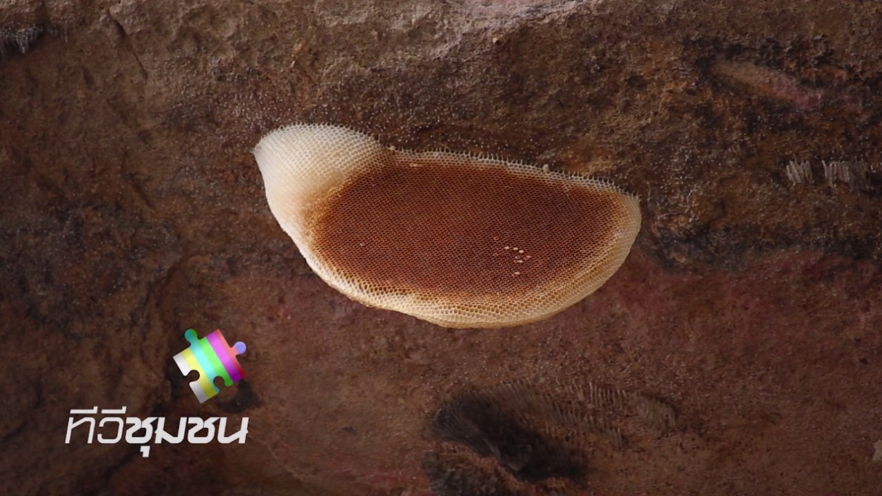 ปราสาทผึ้ง