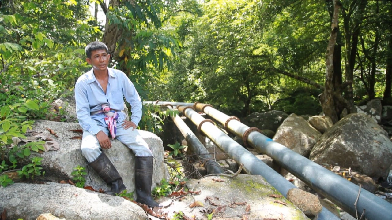 ฟ้าเอ่ย ฟ้าห่วน,  ทอฝันด้วยพู่กัน, โก๋แก่