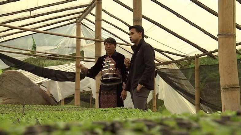 ชีวิตใหม่ "ม้ง" ภูทับเบิก "เกษตรทฤษฎีใหม่"