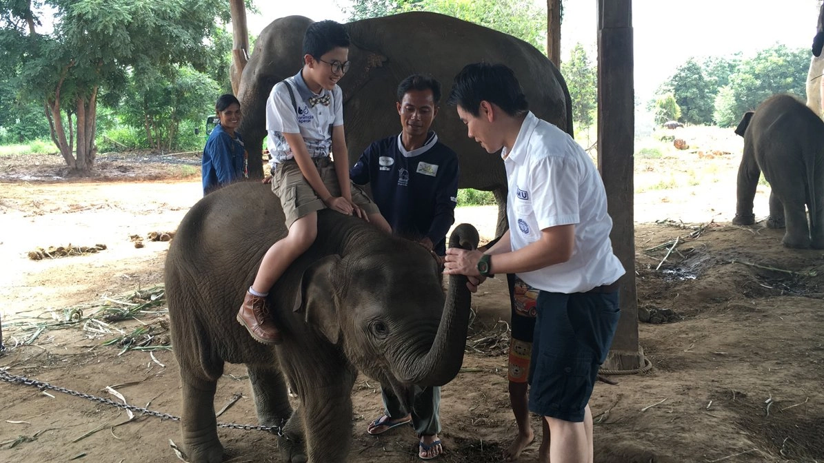 คนเลี้ยงช้าง...ความผูกพันจากรุ่นสู่รุ่น