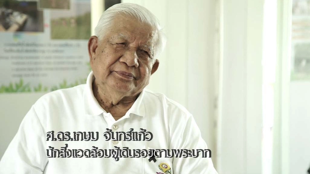 แหลมผักเบี้ย