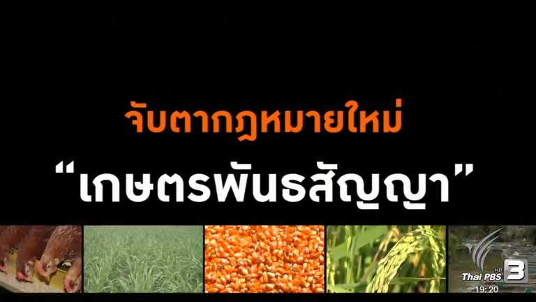 จับตากฎหมายใหม่ "เกษตรพันธสัญญา"