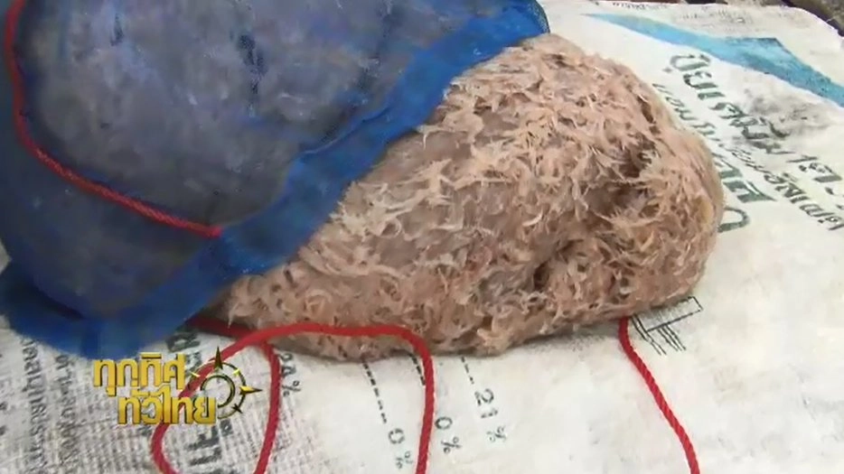 ประเด็นข่าว ( 30 พ.ย. 59)