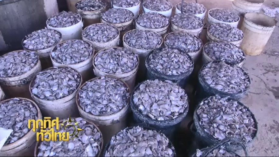 ประเด็นข่าว ( 28 พ.ย. 59)