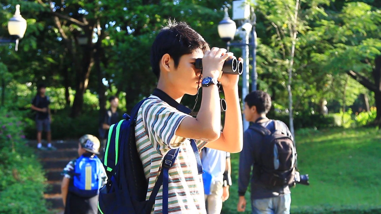 ดูนกกลางกรุง