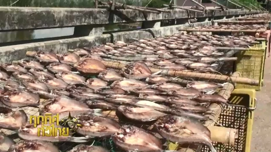 ประเด็นข่าว ( 2 ธ.ค. 59)