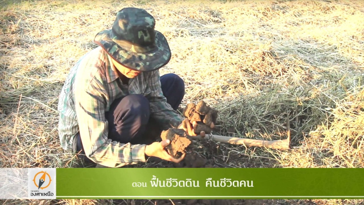 ฟื้นชีวิตดิน คืนชีวิตดิน