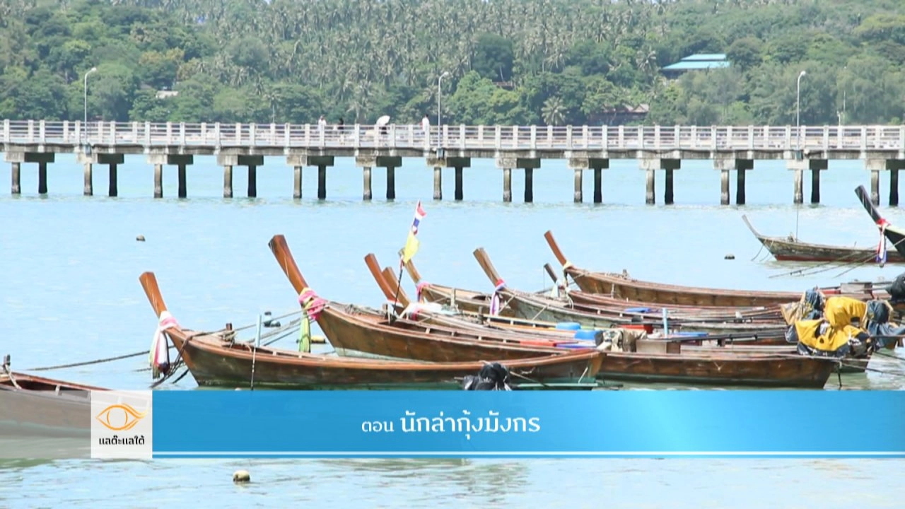 นักล่ากุ้งมังกร​