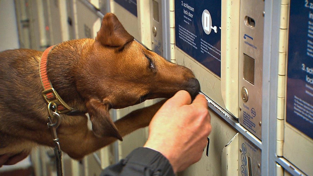 สัตว์โลกแสนรู้ ตอนที่ 10