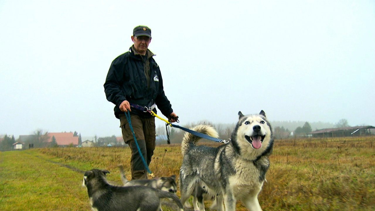 สัตว์โลกแสนรู้ ตอนที่ 11