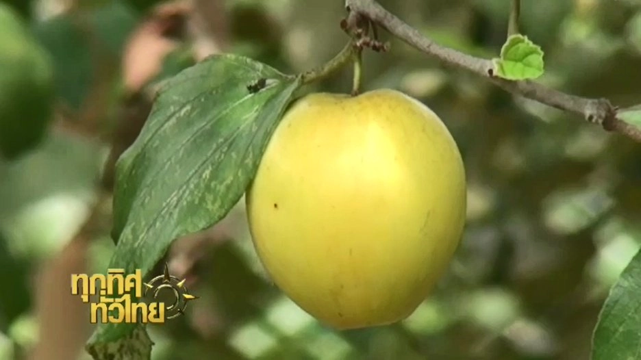 ประเด็นข่าว ( 13 ธ.ค. 59)