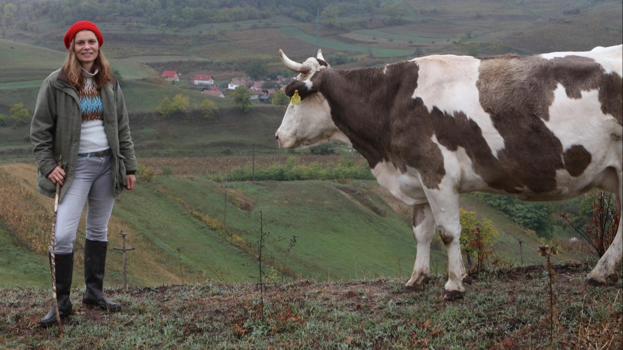 ซาราห์ตะลุยยุโรป ตอนที่ 4