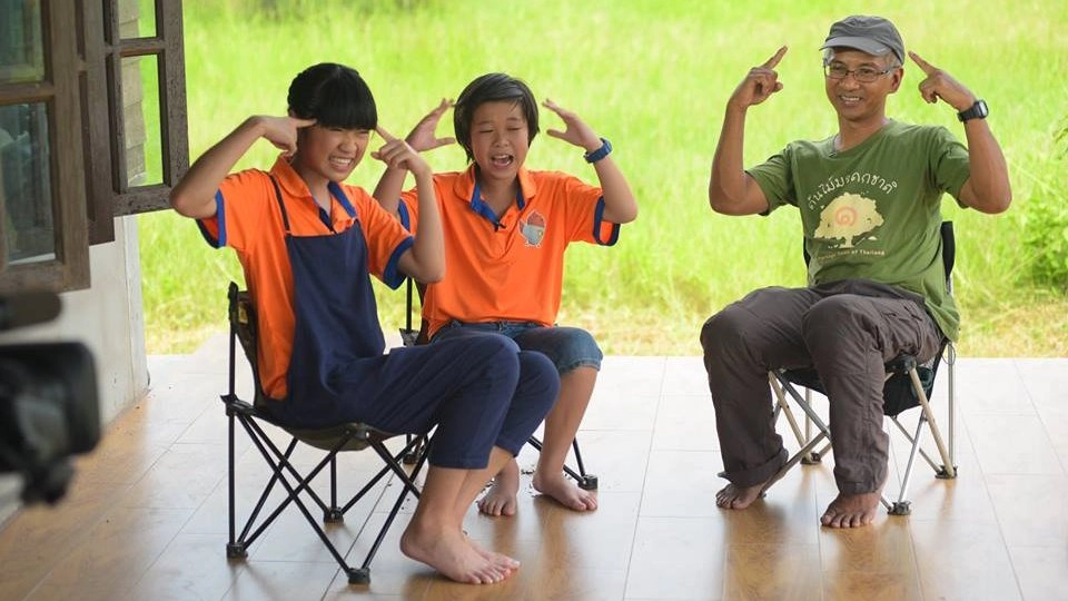 โครงสร้างป่า