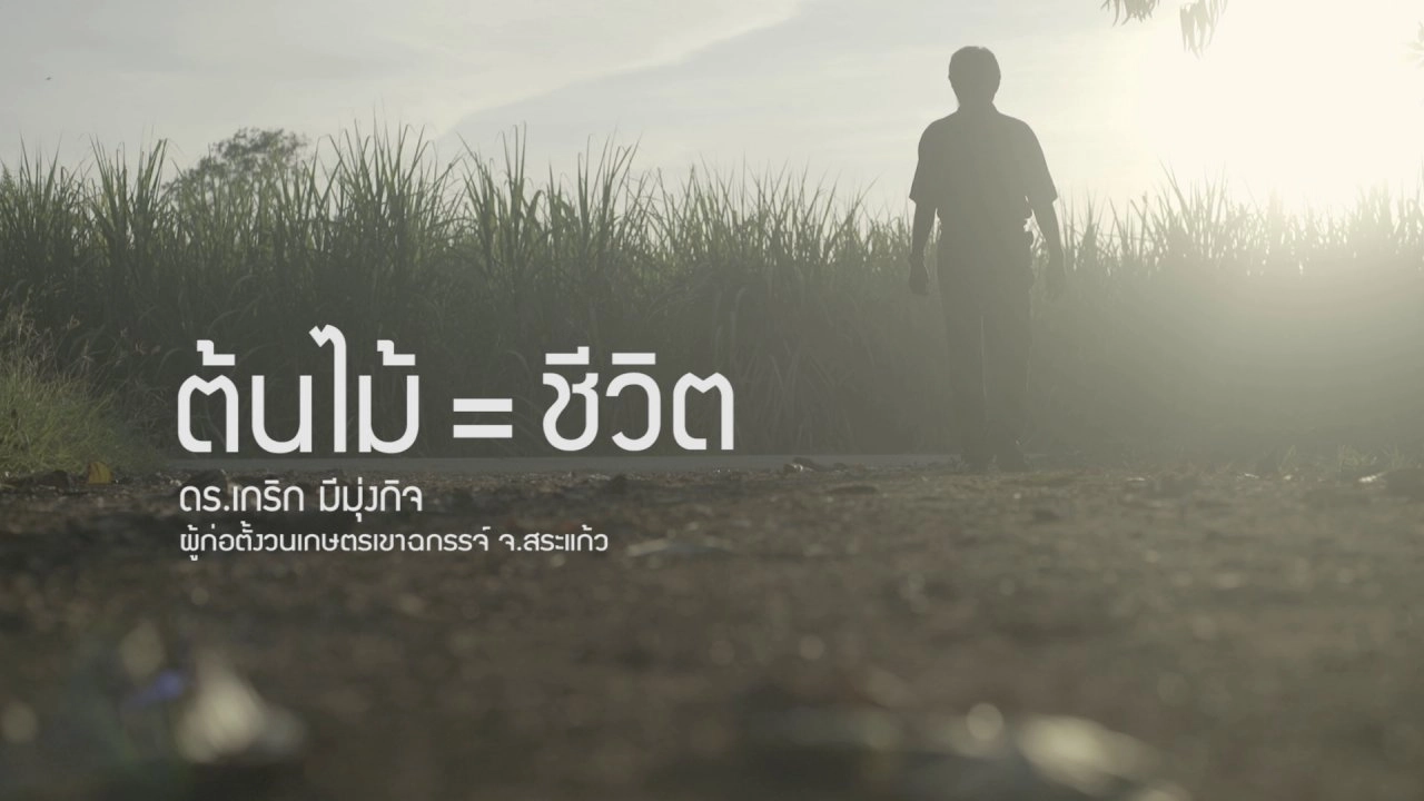 ปณิธานต้นไม้ : ต้นไม้ = ชีวิต