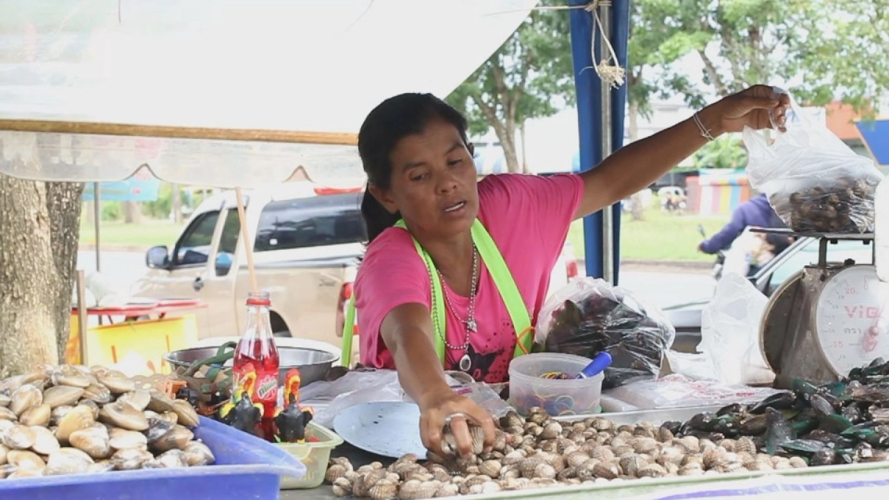 หอยอีรม ขุมทรัพย์อ่าวบ้านดอน