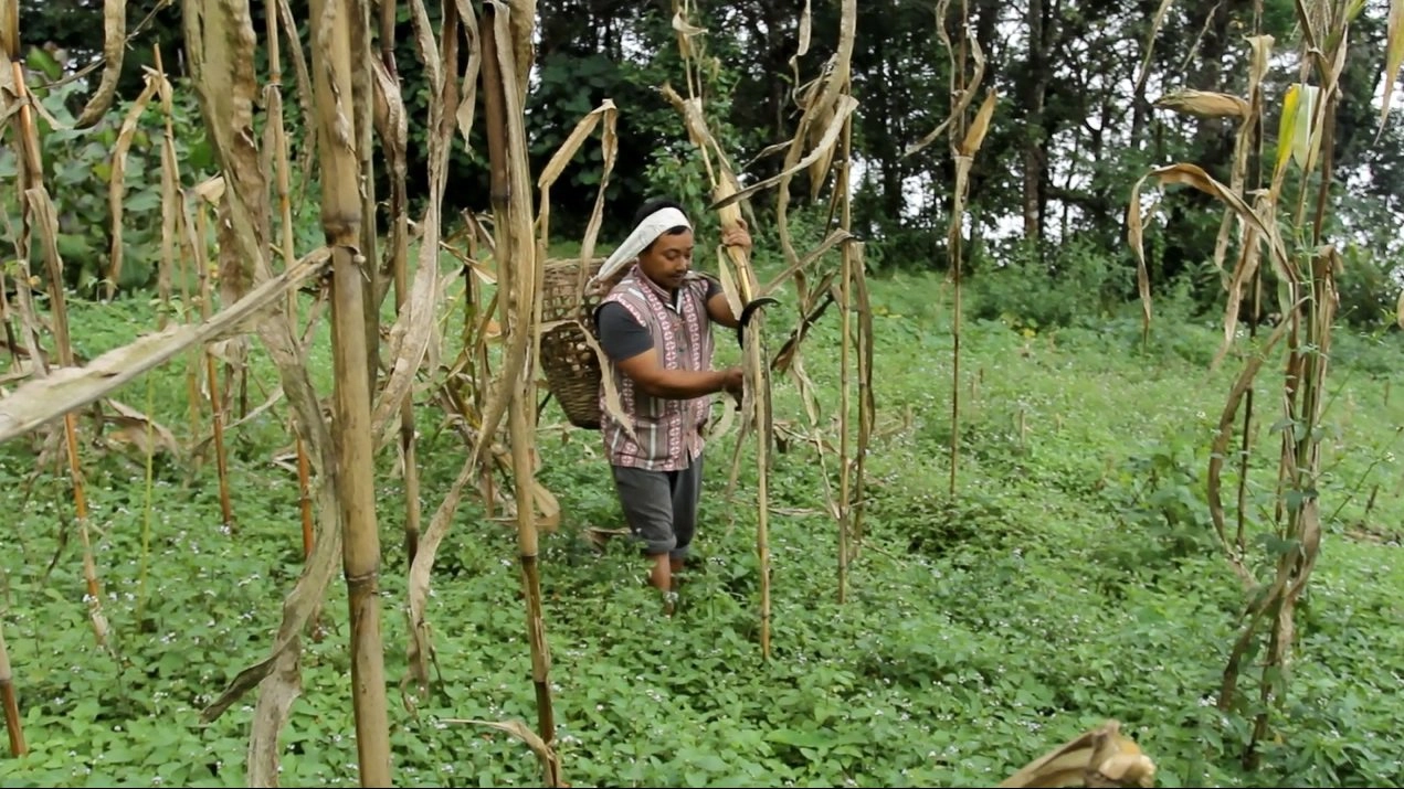 เลปช่า ชนเผ่ารุ่นแรกในสิกขิม