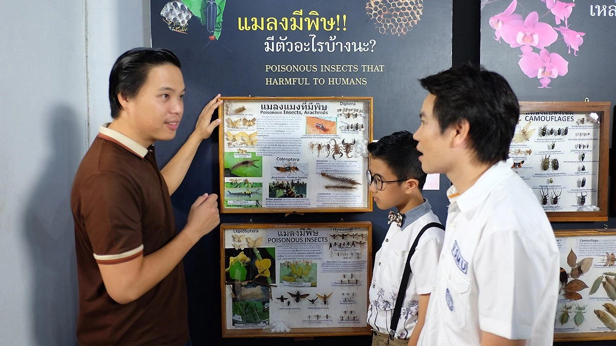 แมลงสัตว์มหัศจรรย์ ตอน 1