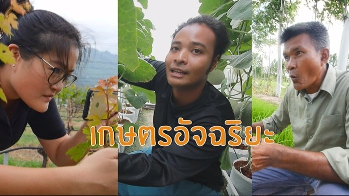 เกษตรอัจฉริยะ