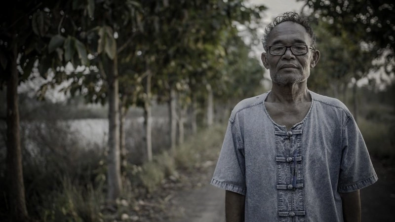 ​ปณิธานต้นไม้ : ต้นไม้ = ปณิธาน