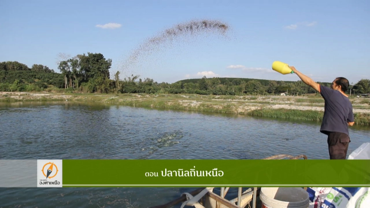 ปลานิลถิ่นเหนือ​