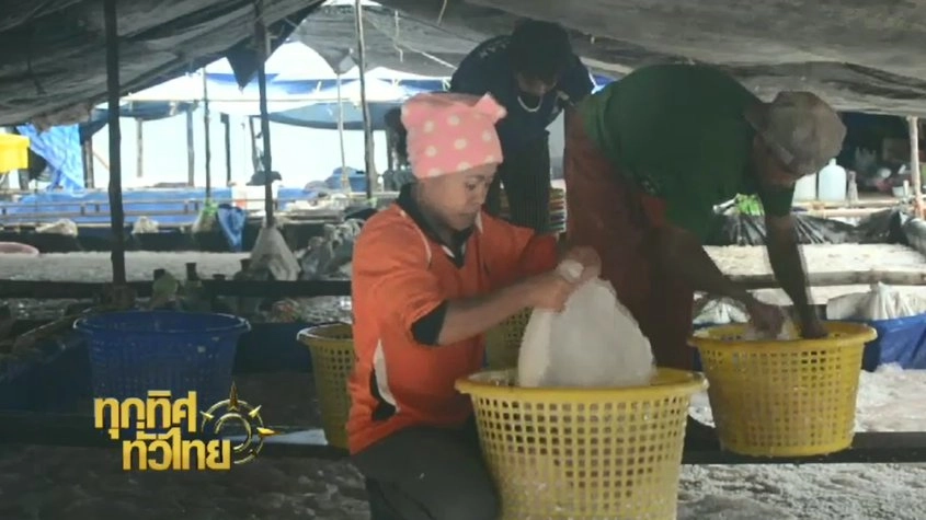 ทุกทิศทั่วไทย