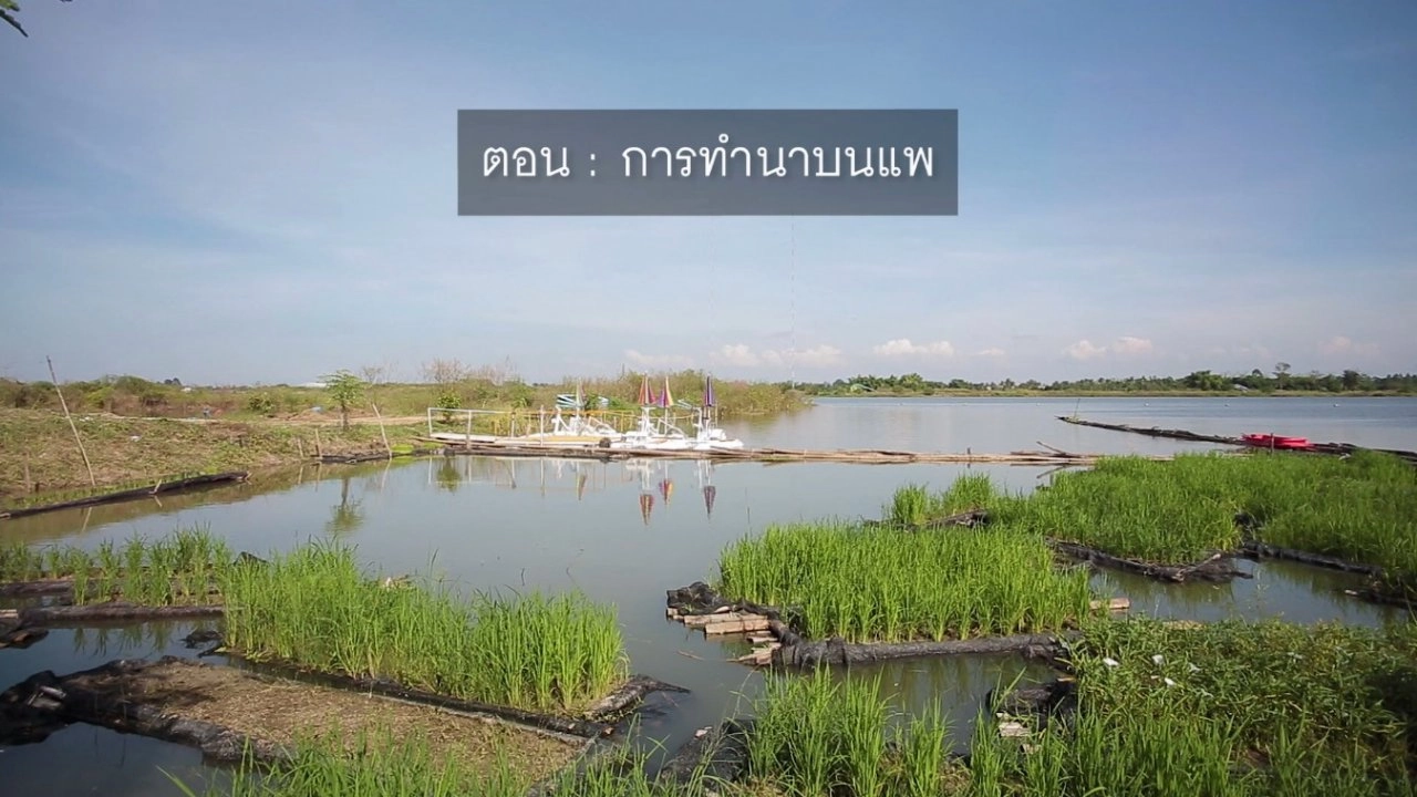 ​การทำนาบนแพ