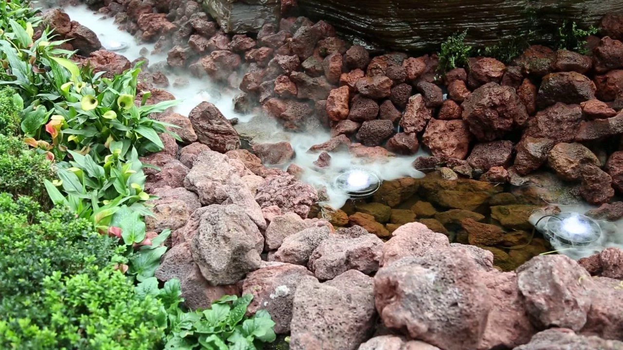 สวนพฤกษศาสตร์