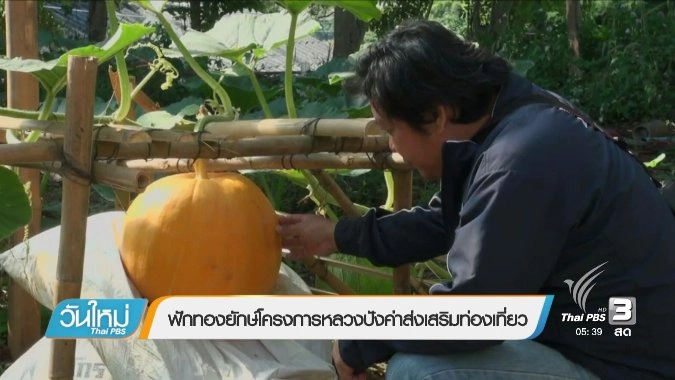 ประเด็นข่าว (23 ธ.ค. 59)