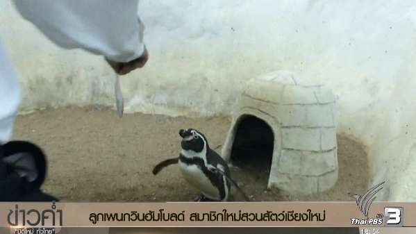 ประเด็นข่าว (21 ธ.ค. 59)