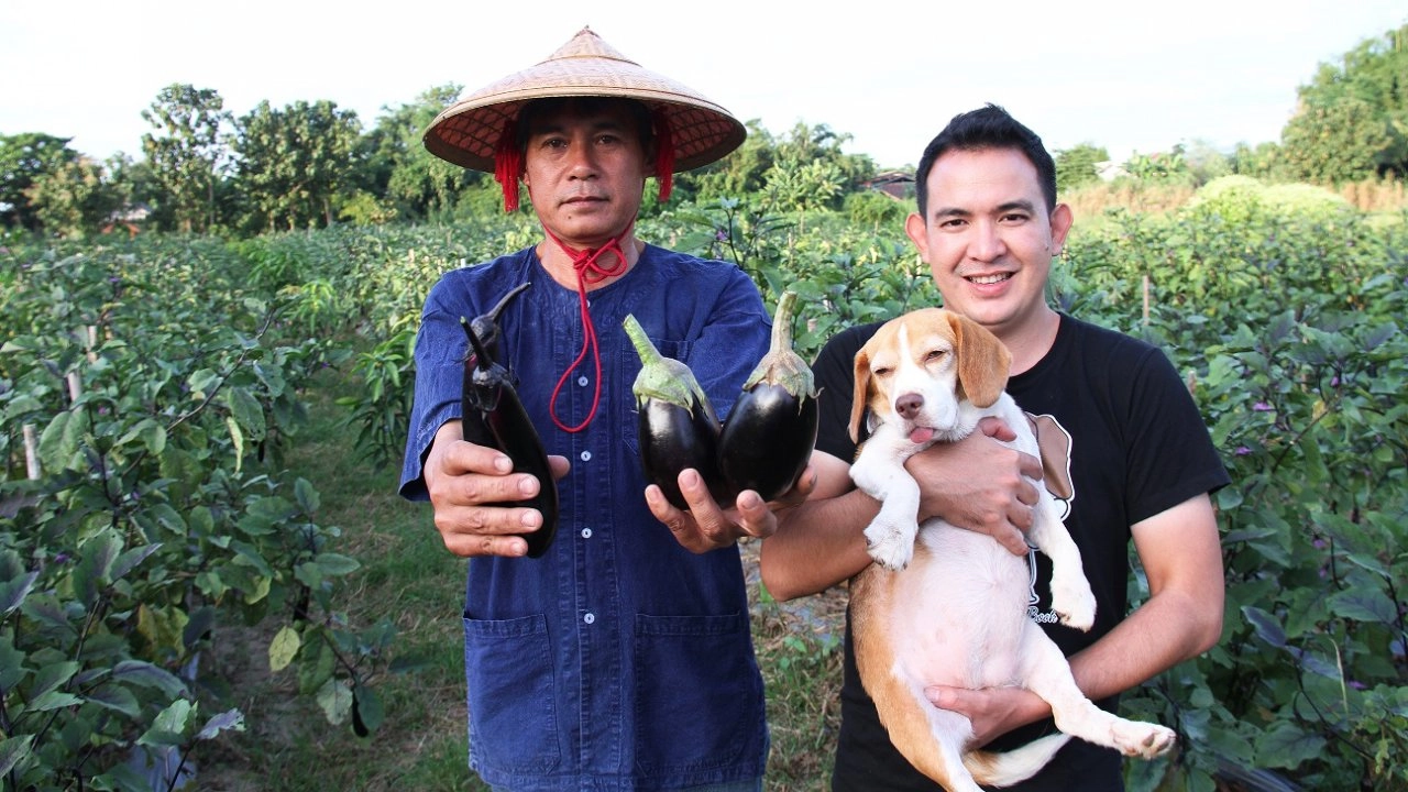 ศูนย์พัฒนาโครงการหลวงสะโง๊ะ