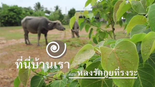 หลงรักกูยที่รงระ