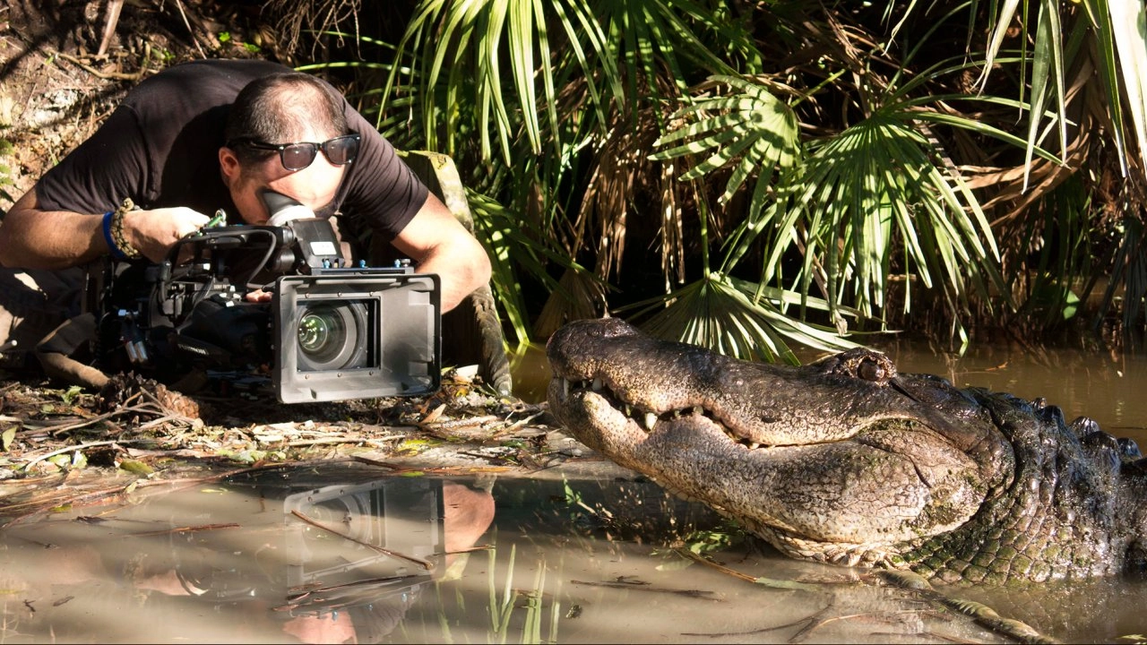 สุดยอดประสาทสัมผัส ตอน การได้ยิน