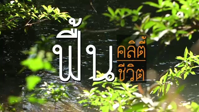 ฟื้นคลิตี้ ฟื้นชีวิต