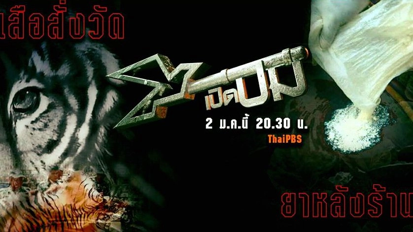 สรุปปลายปี เสือสั่งวัด และ  ยาหลังร้าน