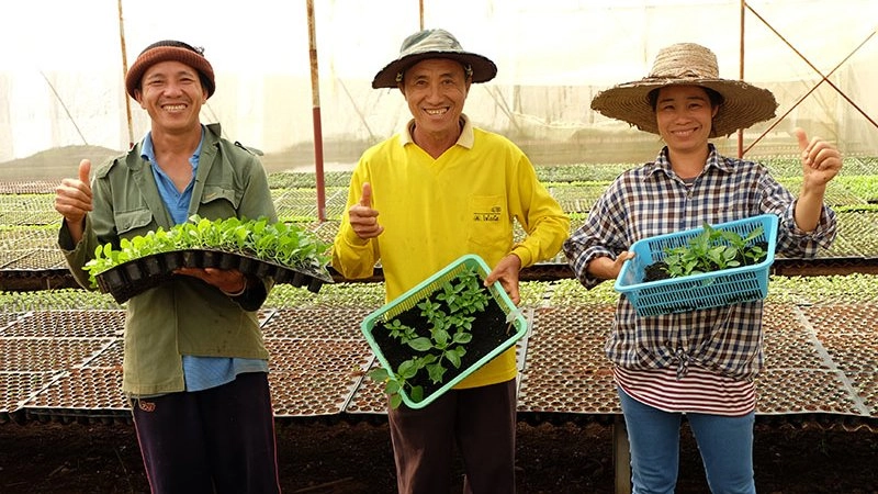 “ของขวัญจากผืนแผ่นดิน” อ.ปง  จ.พะเยา