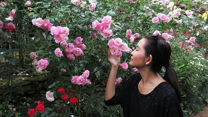 หางดง – สะเมิง เส้นทางแห่งความสุข จ.เชียงใหม่