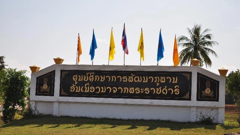 3 ดำมหัศจรรย์, สาธิตย้อมคราม, เมนูต้มแซ่บปลากรด