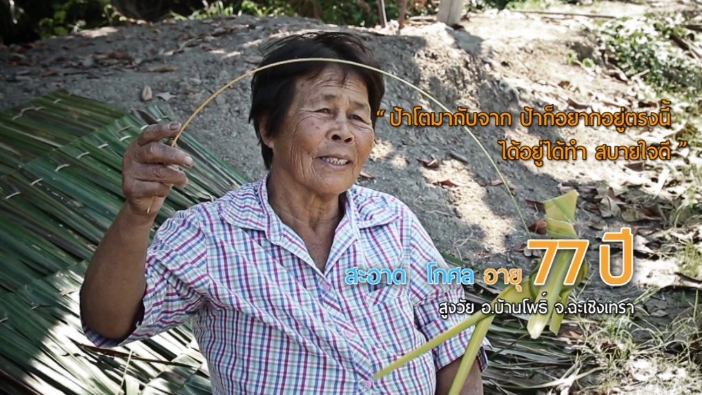 ป้าสะอาดเย็บจาก