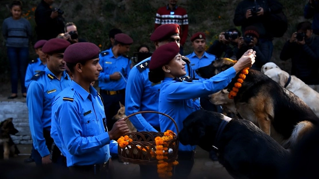 เทศกาลบูชาสัตว์ในเนปาล