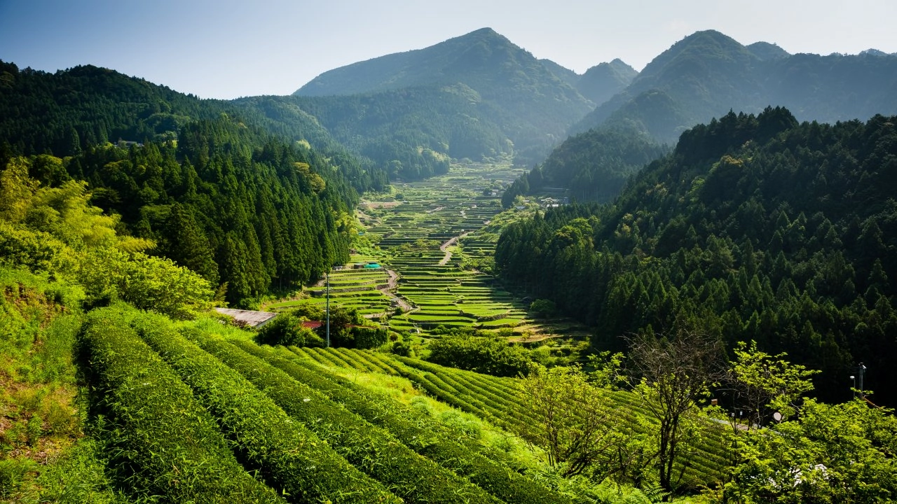 ​มหัศจรรย์ธรรมชาติญี่ปุ่น ตอน เกาะฮอนชู